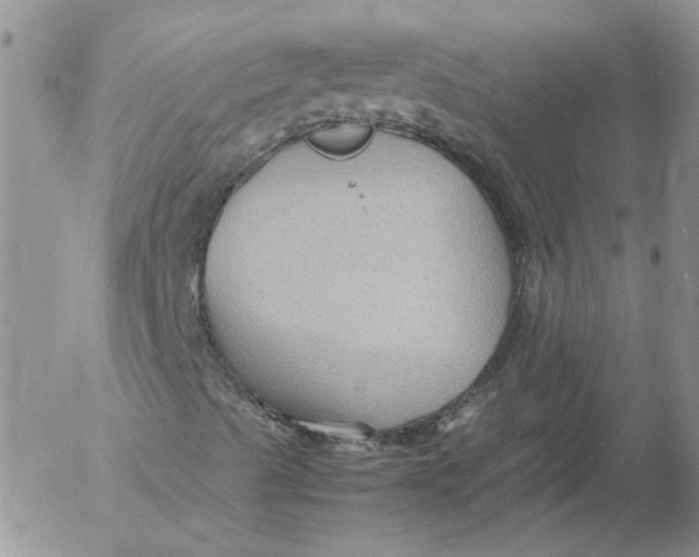 X0000053051489200508011834