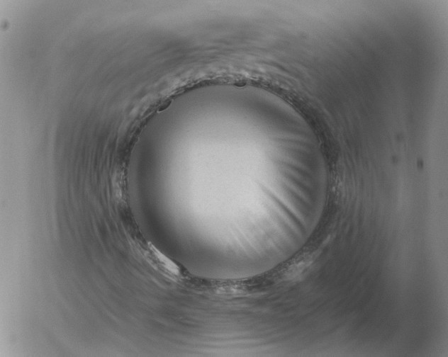 X0000053051490200508011834