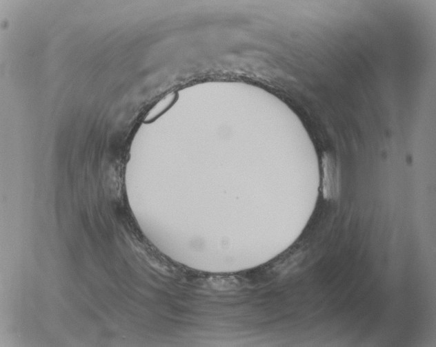 X0000053051491200508011834