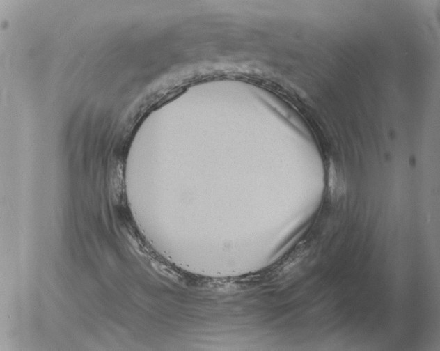 X0000053051492200508011834