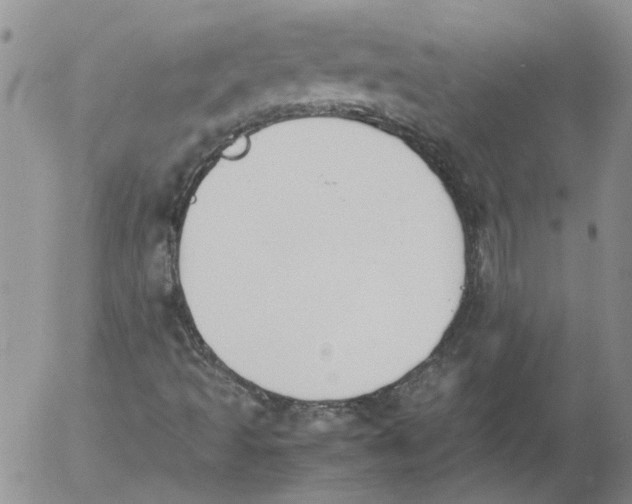 X0000053051493200508011834