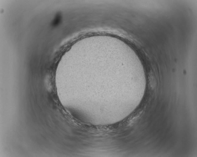 X0000053051494200508011834