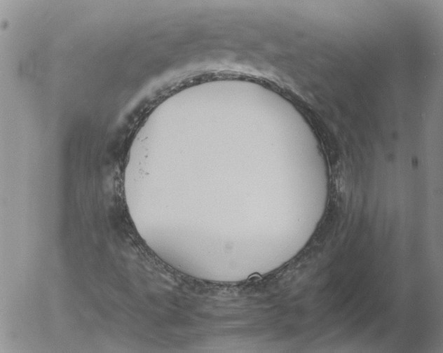 X0000053051495200508011834