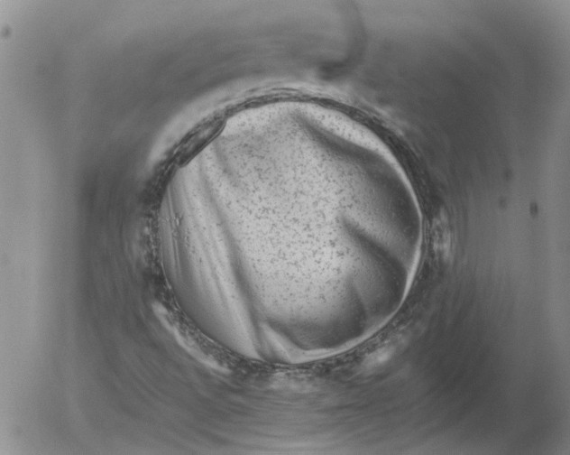 X0000053051496200508011834