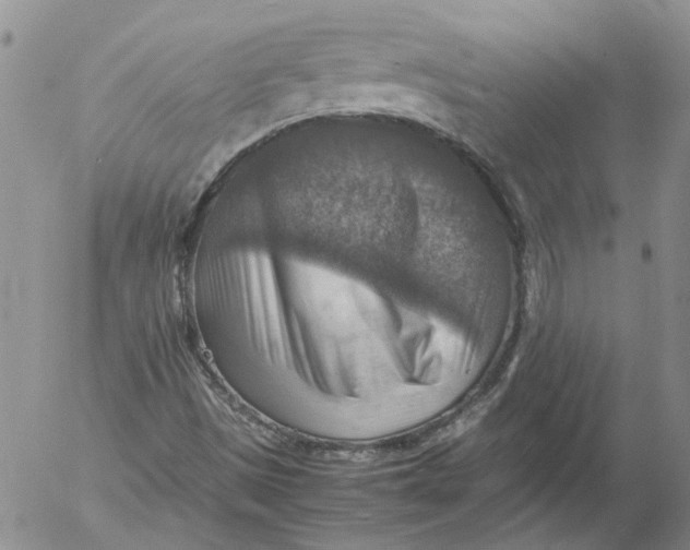 X0000053051497200508011834