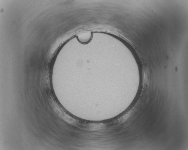 X0000053051498200508011834