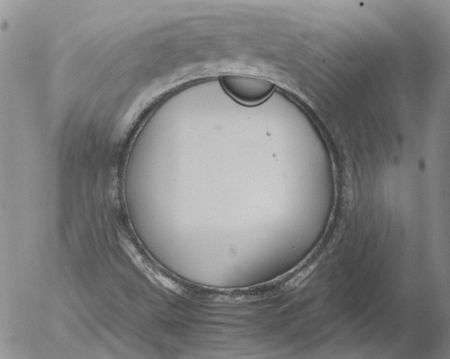 X0000053051499200508011834