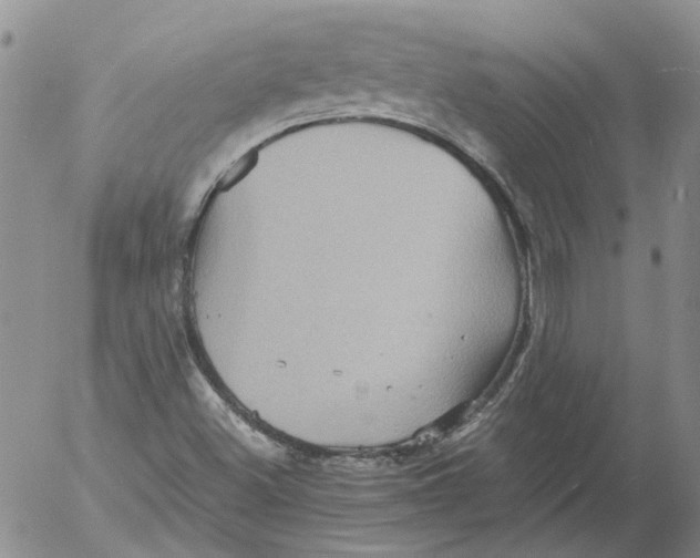 X0000053051500200508011834