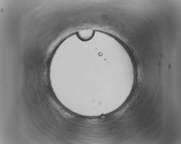 X0000053051502200508011834