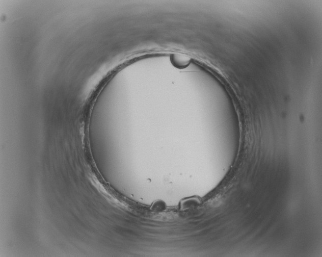 X0000053051503200508011834