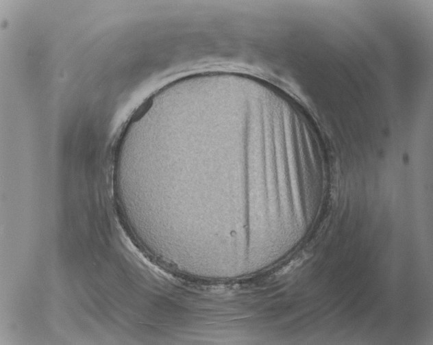 X0000053051504200508011834