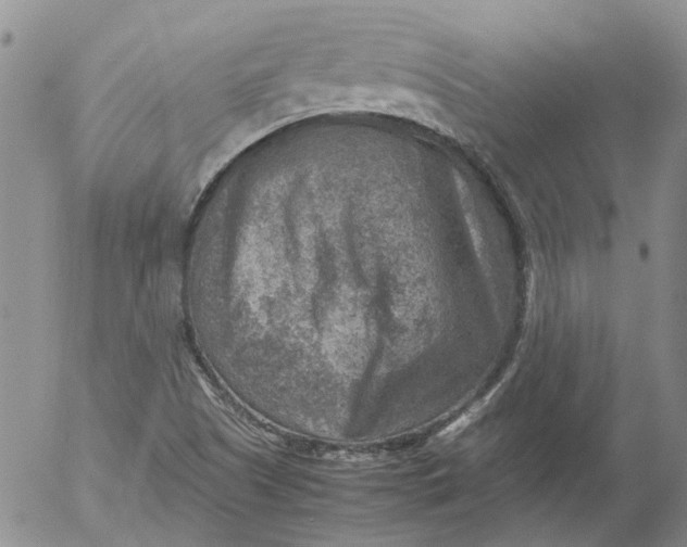 X0000053051505200508011834