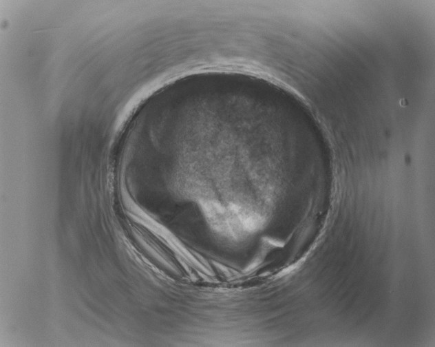 X0000053051506200508011834