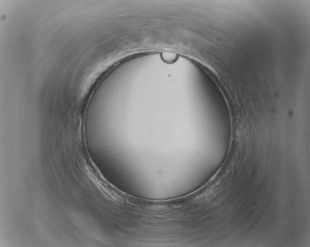 X0000053051507200508011834