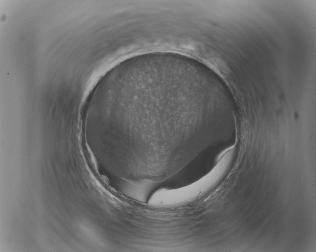 X0000053051508200508011834