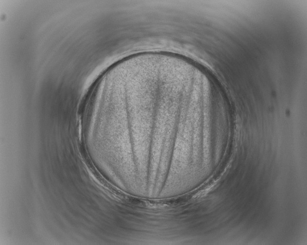 X0000053051509200508011834