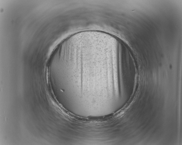 X0000053051510200508011834