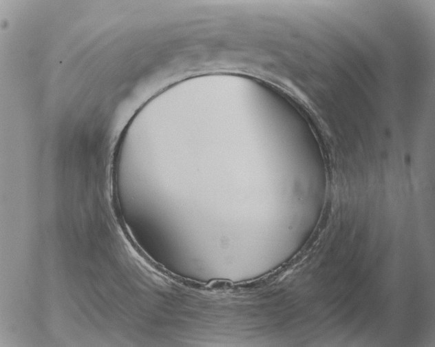 X0000053051512200508011834