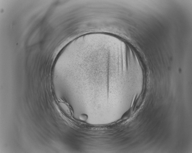 X0000053051513200508011834