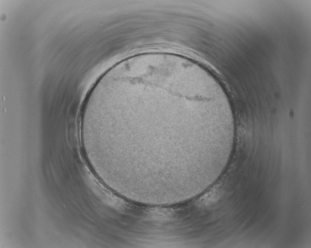 X0000053051514200508011834