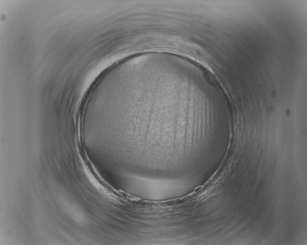 X0000053051515200508011834