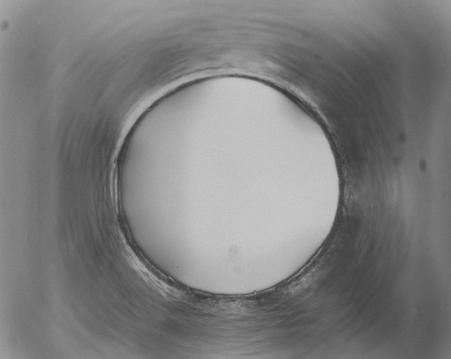 X0000053051516200508011834