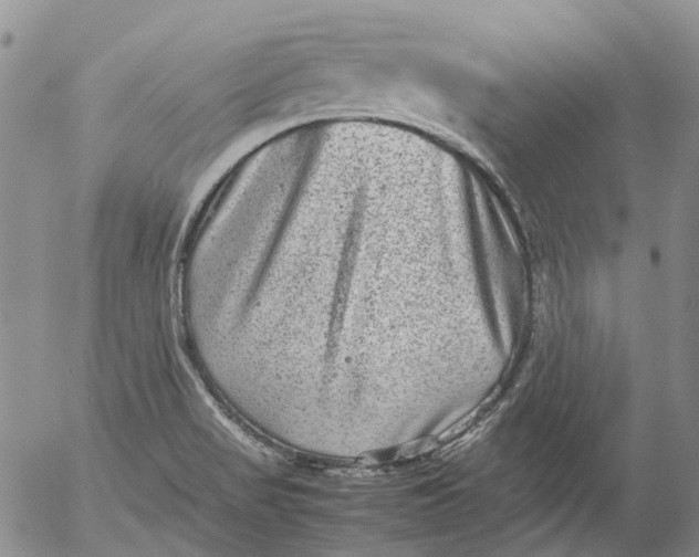 X0000053051517200508011834