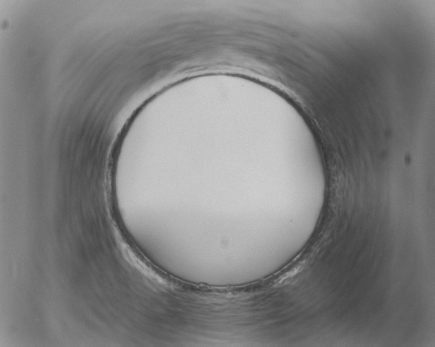 X0000053051518200508011834