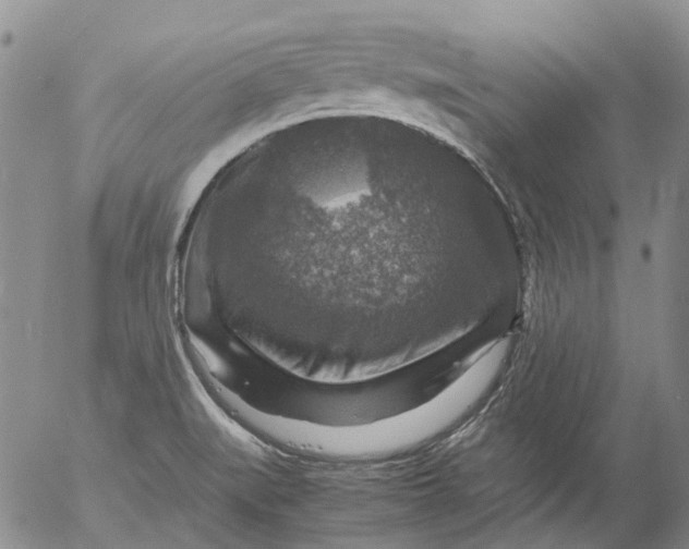 X0000053051519200508011834