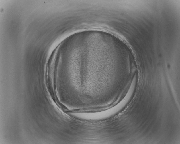 X0000053051520200508011834