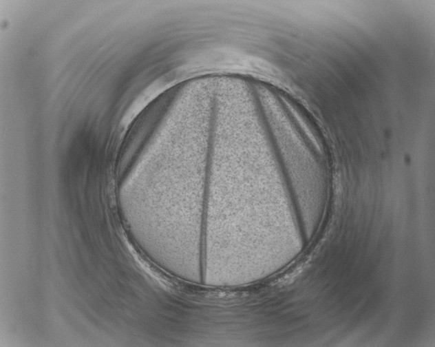 X0000053051521200508011834