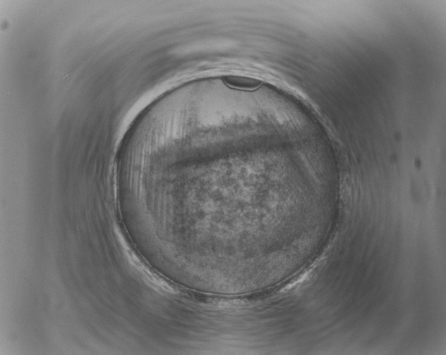 X0000053051522200508011834