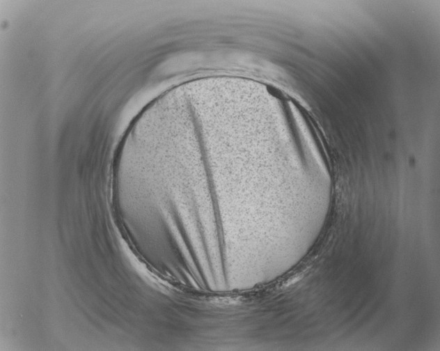 X0000053051523200508011834