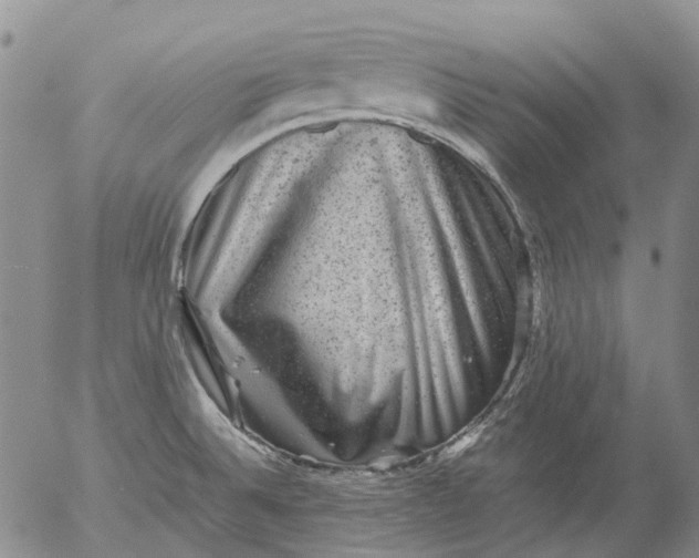 X0000053051524200508011834