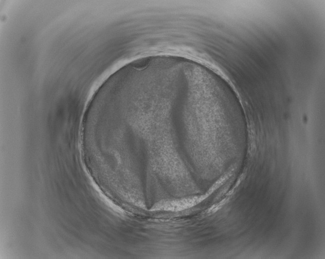 X0000053051525200508011834