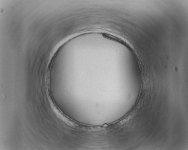 X0000053051526200508011834