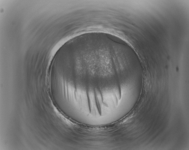 X0000053051527200508011834