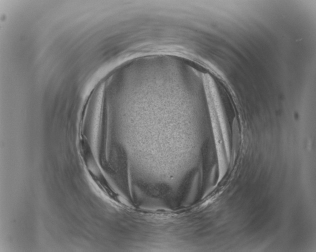 X0000053051528200508011834