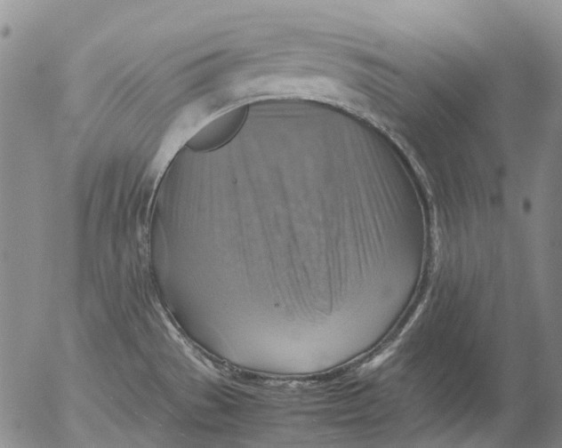 X0000053051529200508011834