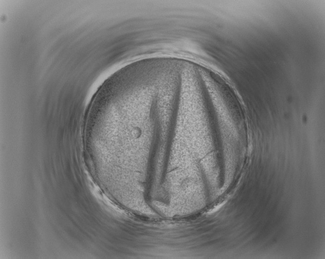 X0000053051530200508011835