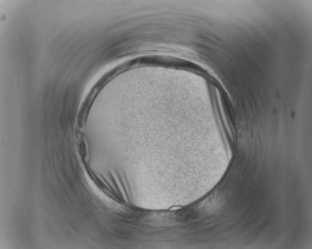 X0000053051531200508011835