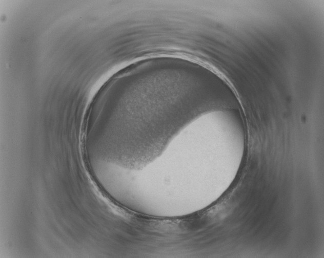 X0000053051533200508011835