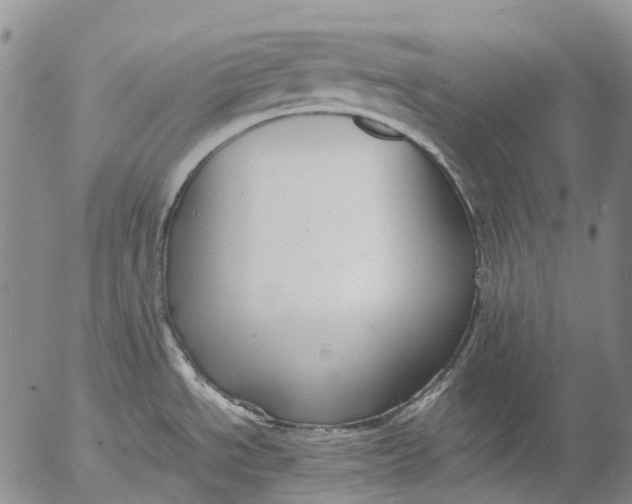 X0000053051534200508011835