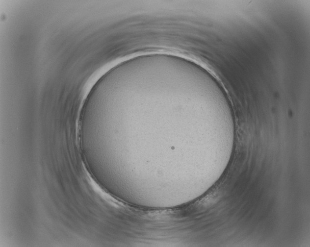 X0000053051535200508011835