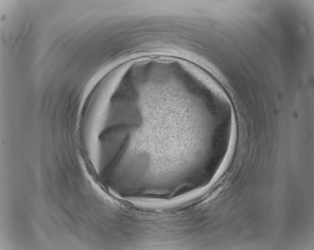 X0000053051536200508011835