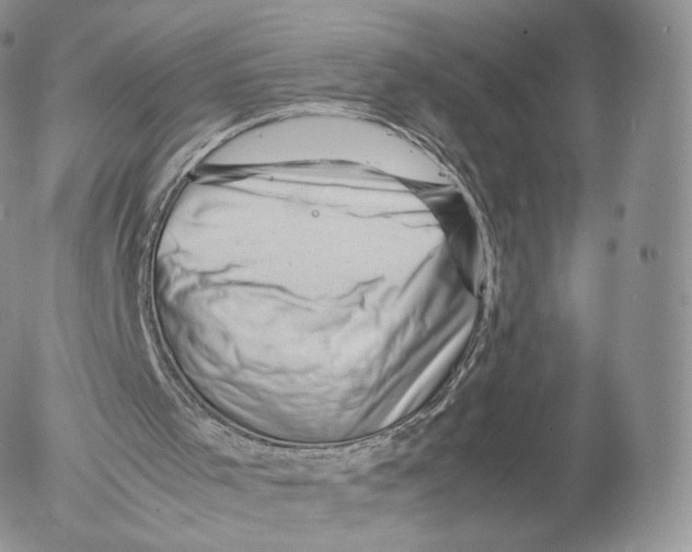 X0000053050001200508081140