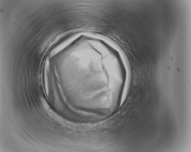 X0000053050002200508081140