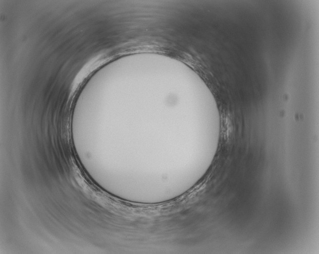 X0000053050004200508081140