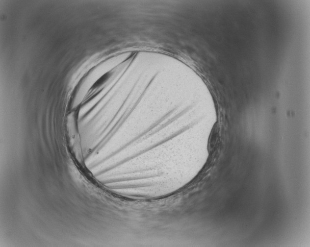 X0000053050007200508081140