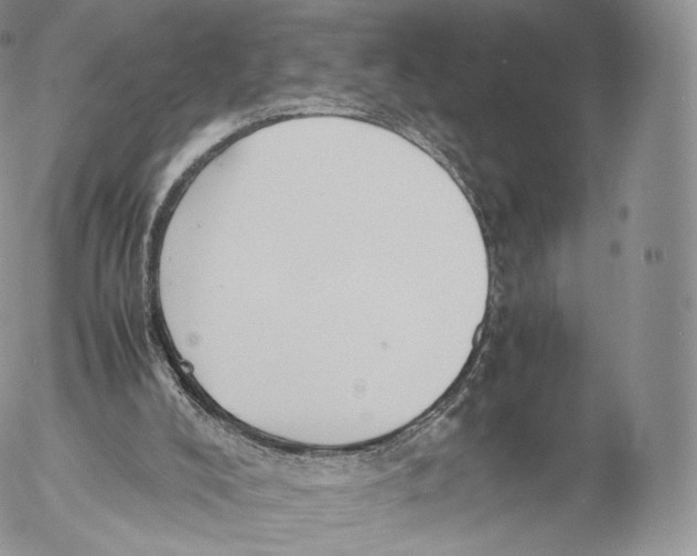 X0000053050008200508081140